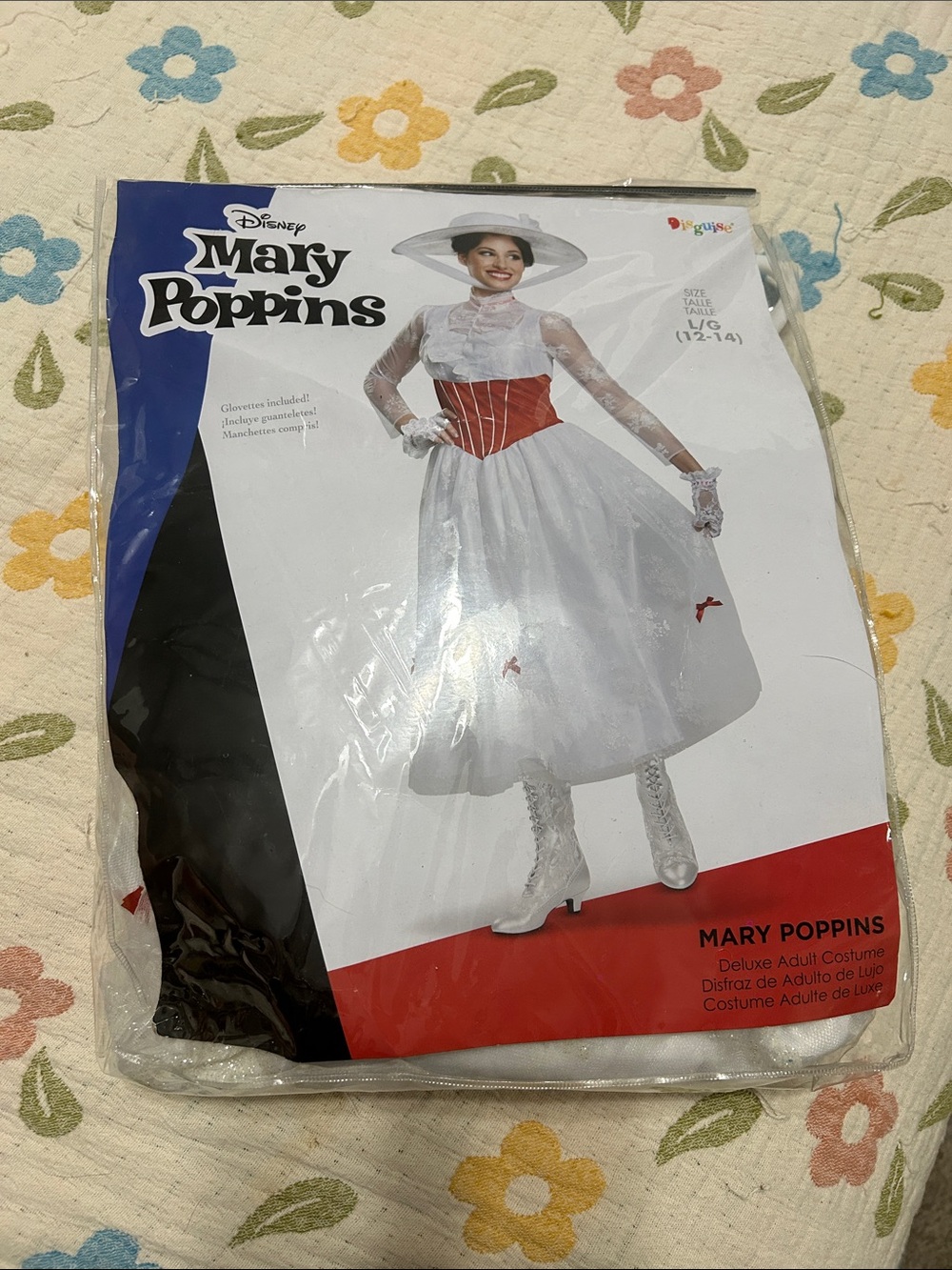 Disney Mary Poppins jolly holiday Costume